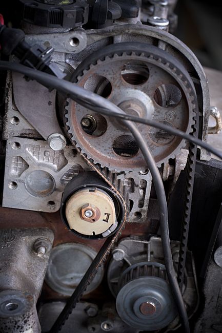 Timing Belt